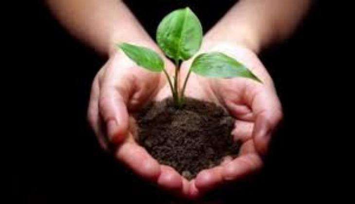 world environment day