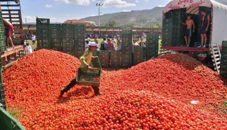 tomatoes hike in delhi