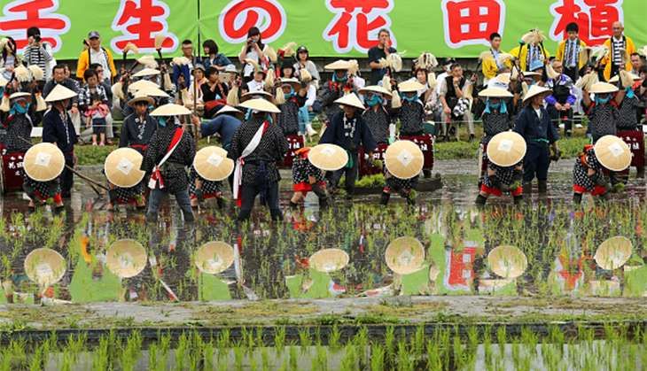 Hiroshima rice planting festival