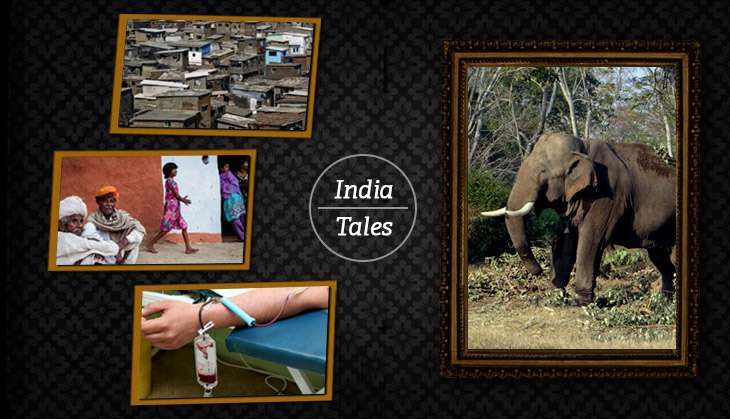 India Tales: 10 June 2016