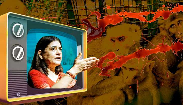 maneka-gandhi-story.jpg