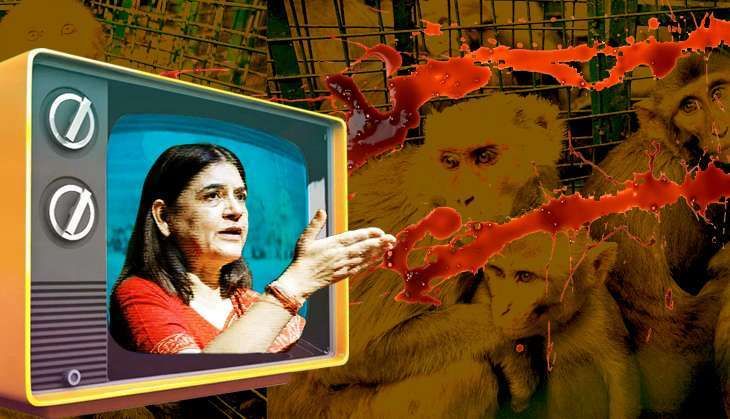 maneka-gandhi-story.jpg