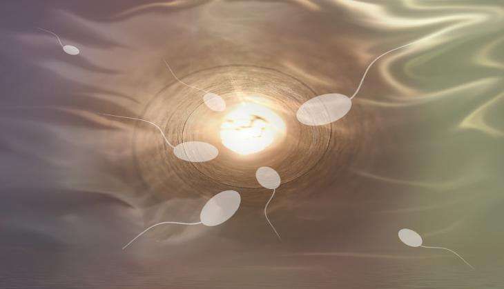 sperm sorting device