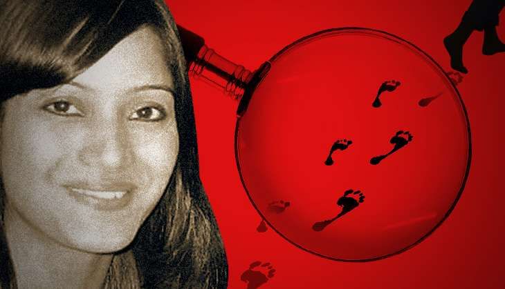 Sheena Bora Case Driver Turns Approver