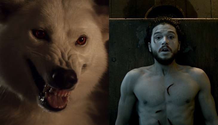 jon snow - ghost