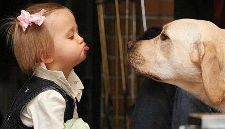 dogs & kids.jpg