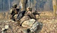 Defence experts hail J-K police, CRPF for neutralising three Hizbul Mujahideen terrorists