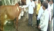 Gau Raksha Dal chief Satish Kumar booked in crackdown on 'cow vigilantes' 