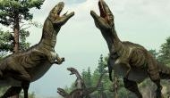 Australia's 'lost' dinosaur rediscovered