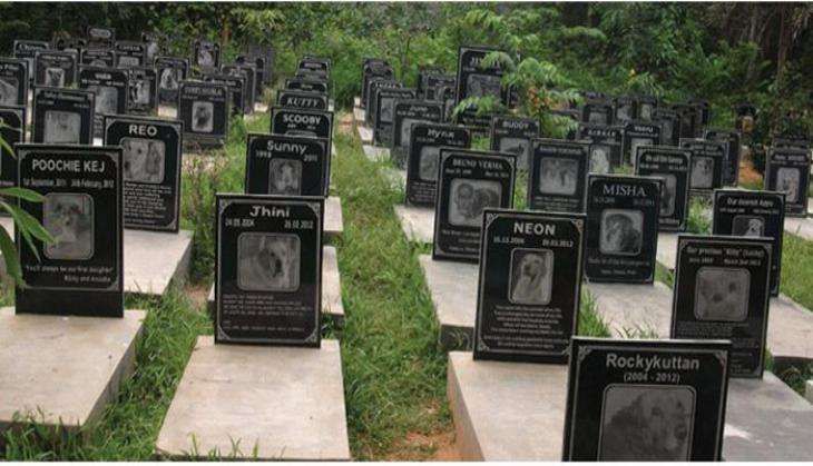 DOG-CEMETERY_LEAD_Pet-Cemetery