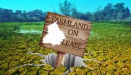Agrarian crisis in Punjab: low returns lead to falling lease rents on farmland 