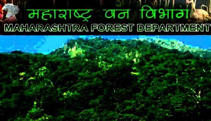 महाराष्ट्र सरकार की वन मुहिम सवालों के घेरे में  