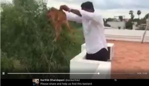 Man who threw dog off roof identified via social media, now absconding 