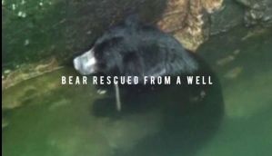 Bear with us but this may be the cutest rescue of all time 