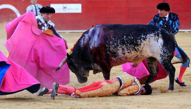 victor Barrio bull fighting.jpg