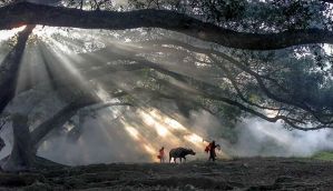 On Teachers' Day, Punjab honours two with Lifetime Achievement awards  