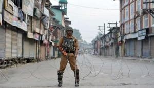 Kashmir turmoil in pictures: Protests and bandh keep the valley tense 