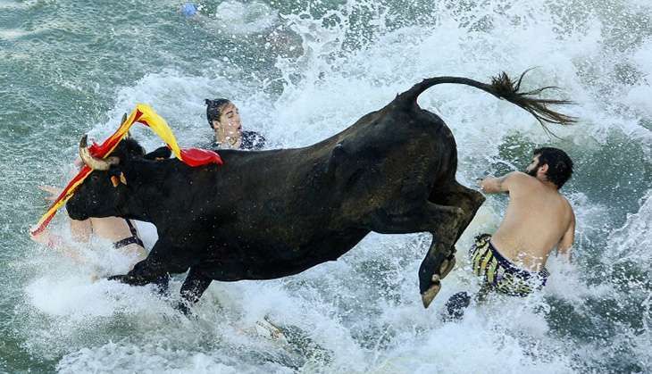 Bous a la Mar festival 1