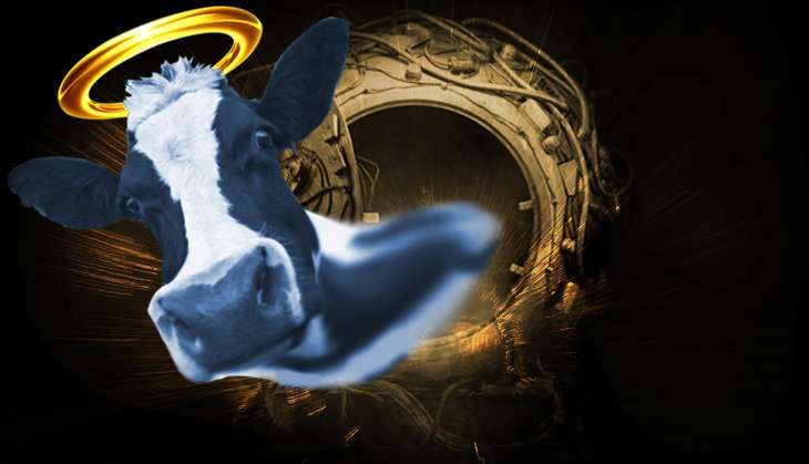 holy cow