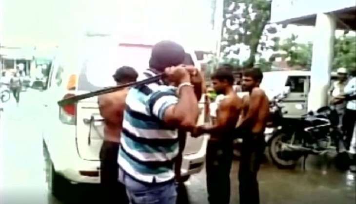 Gujarat Cow
