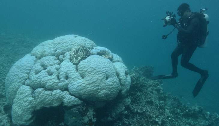 great barrier reef