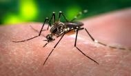 Bihar: 900 tested positive for dengue so far