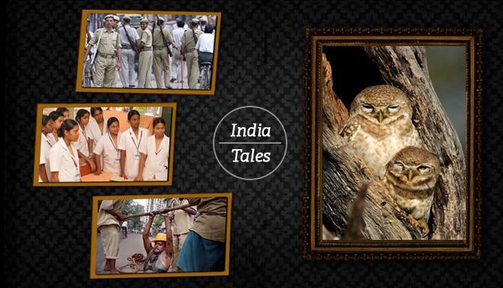 India Tales Graphic