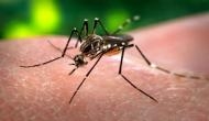 Dengue: Over 30 cases in UP's Meerut, district admin starts door to door campaign