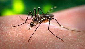 Dengue grips Uttar Pradesh, 215 cases reported in past three days 