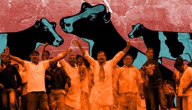 MP Beef Politics