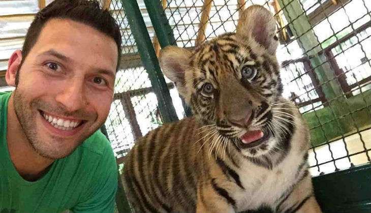 Take a Safe Tiger Selfie From Home? Here's How