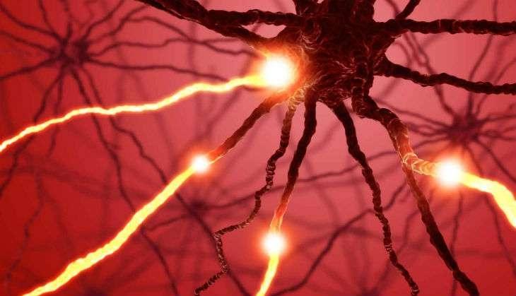 One in three children have dangerous levels of lead in their blood- Study