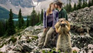 Happy squirrel photobombs pre-wedding shoot because squirrels are cool like that 