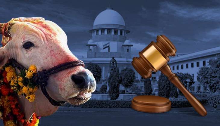 SC to hear petition on Maha beef ban