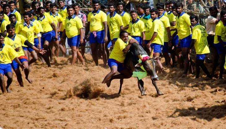 Jallikuttu
