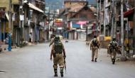 Zero tolerance toward terrorism, separatism key to J-K's development