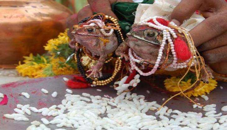 Frog Marriage
