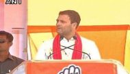 Rahul Gandhi to hold rally at Jagdishpur during three-day Amethi trip 