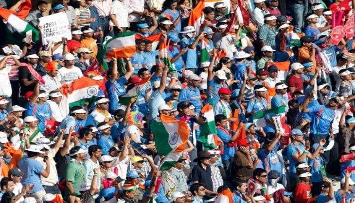 cricket