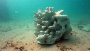 3D printing could be our best chance to save the dying Great Barrier Reef