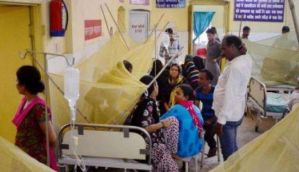 Delhi to get 'terminator' train to fight chikungunya & dengue; Centre seeks report from capital 