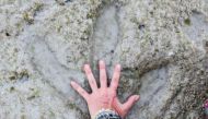 Australian woman's beach outing reveals ancient dinosaur footprints. No, not joking 