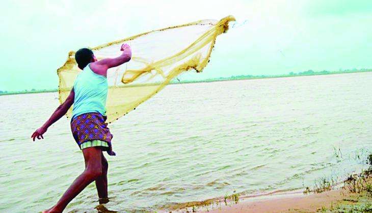 mahanadi1