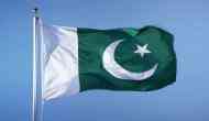 Pakistan: Senior journalist's domestic staff arrested over alleged attack on federal agency, says report 