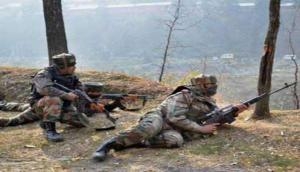 Srinagar: Two terrorists killed in encounter 