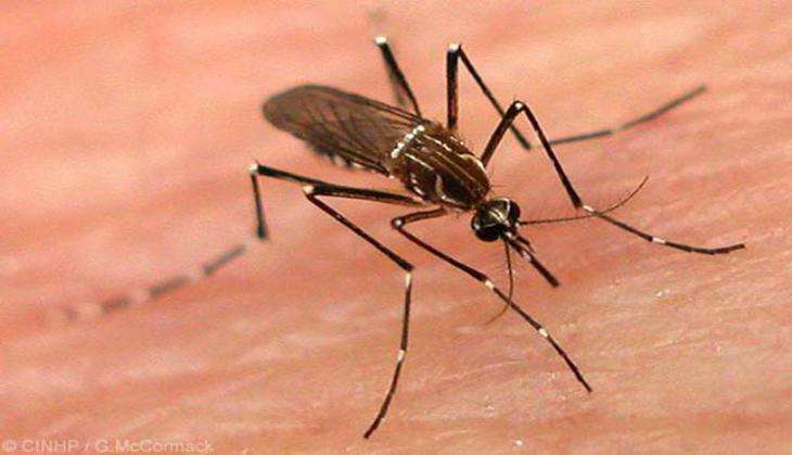 3D map to help combat dengue in West Bengal