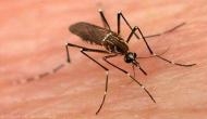 Air travel linked to spread of dengue in Asia