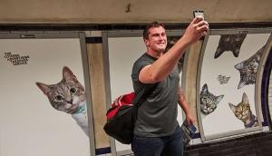 Spotted cat photos at a London train station? Here's how it happened 