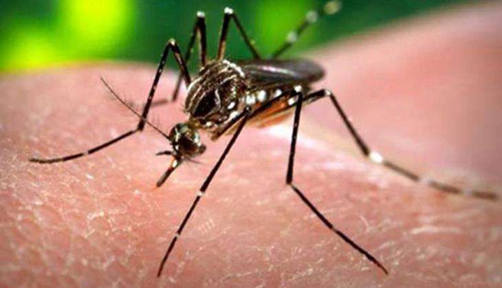 Chikungunya Delhi