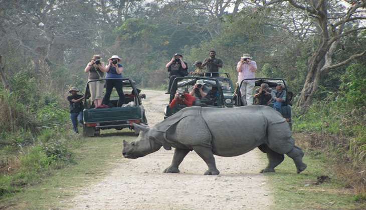 kaziranga